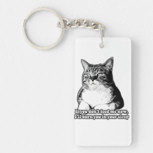 Grumpy Cat Meme für Katzenliebhaber und Besitzer Schlüsselanhänger
