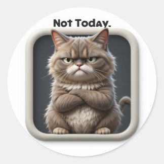 Grumpy Cat "Nicht heute" Bastelaufkleber – Lustige Runder Aufkleber