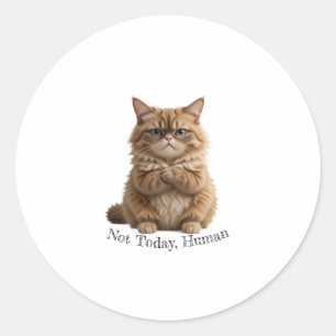 Grumpy Cat "Not Today, Human" Aufkleber Funny Fluf