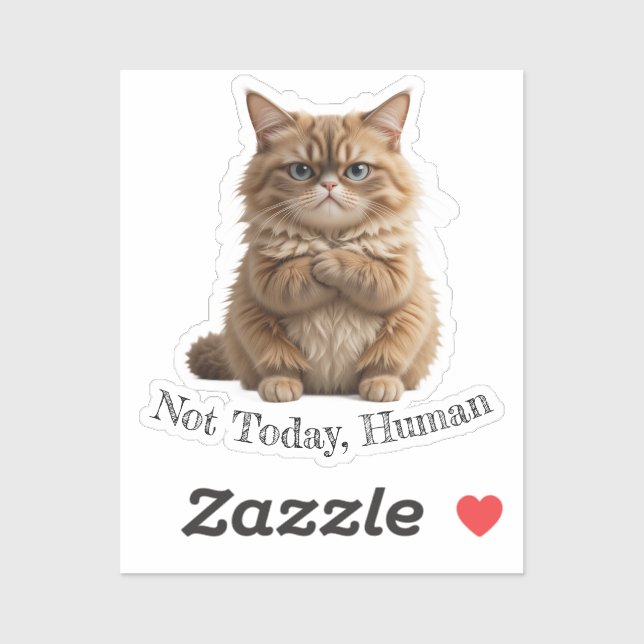 Grumpy Cat "Not Today, human" Funny Pet Meme Aufkleber (Blatt)