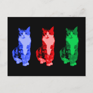 Grumpy Cat Pop Art Postkarte
