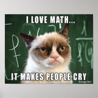 Grumpy Cat Poster - I Liebe Mathematik macht Leute