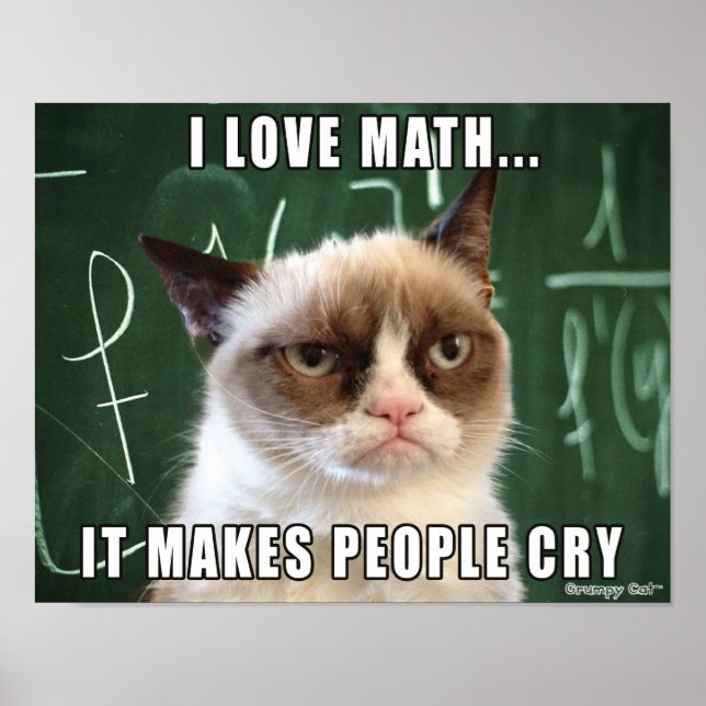 Grumpy Cat Poster - I Liebe Mathematik macht Leute (Vorne)