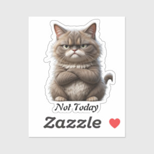 Grumpy Cat Vinyl Sticker - "Not Today" Mood Decal