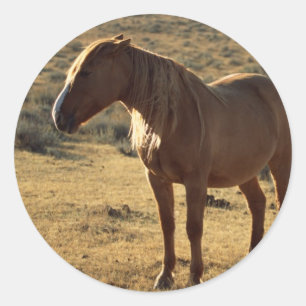Grumpy Chestnut Runder Aufkleber