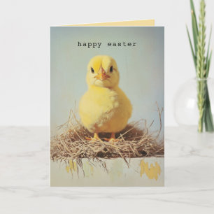 Grumpy Chick in Nest Einladung