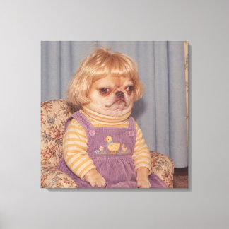 Grumpy Chihuahuas Retro Picture Day Portrait Leinwanddruck