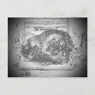 Grumpy Engel auf einer Laptop Lap Katze? Postkarte