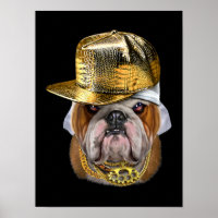 Grumpy English Bulldog mit Hip Hop Rapper