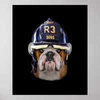 Grumpy English Bulldog Wear Firefighter Helm