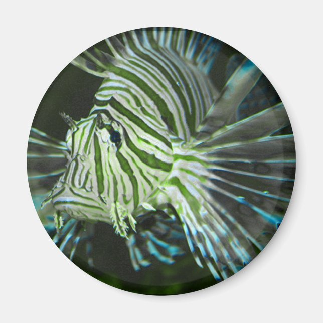 Grumpy Fish Magnet (Vorne)