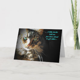 Grumpy Kitty Eats Birdy Geburtstagskarte Karte