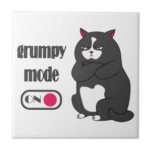 Grumpy Mode on Funny Cat  Fliese