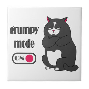 Grumpy Mode on Funny Cat  Fliese