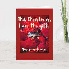 Grumpy Niedlich Baby Sulcata Tortoise Weihnachtsge Karte