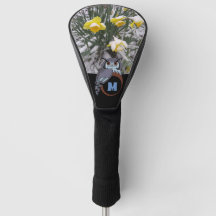 Grumpy Opa Owl Nesting Monogram Egal Foto