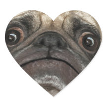 Grumpy Puggy Geschenke