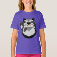 Grumpy Raccoon