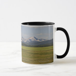 Grün-Felder und Rolling Hills mit Bergen Tasse