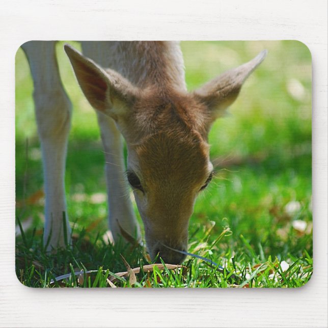 Grün für Deer Antelope Mousepad (Vorne)