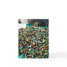 Grün geklebte Mussels für den Verkauf geklappter F