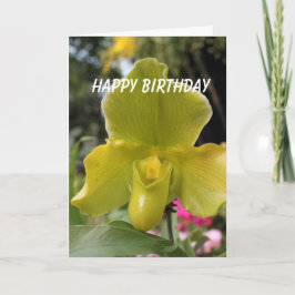 grün-gelbe orchid Blume zum Geburtstag Karte