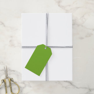 Grün Geschenkanhänger