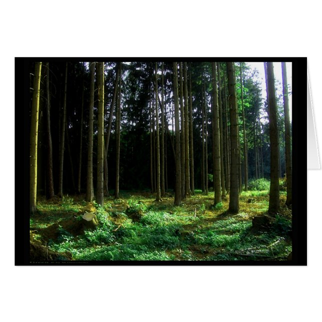 Grün (Karte) (Vorderseite (Horizontal))