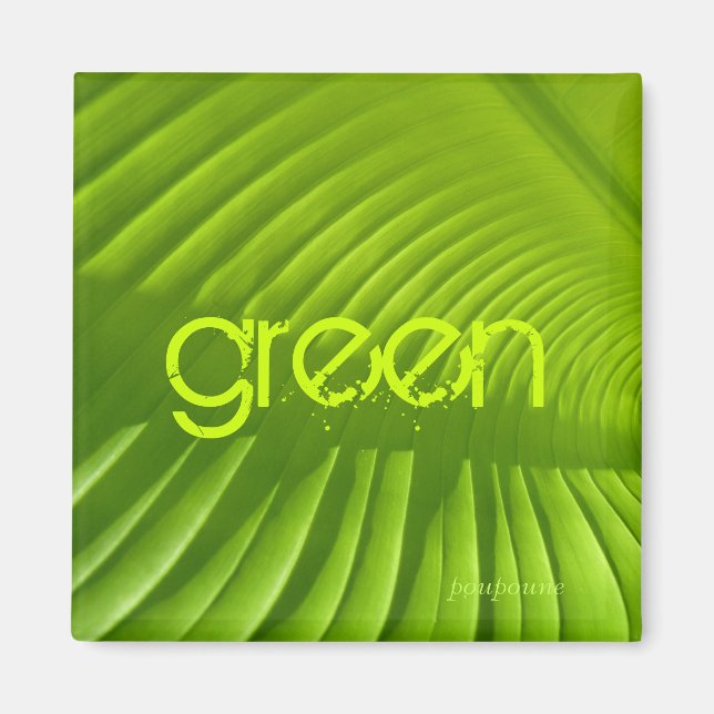 grün magnet (Vorne)