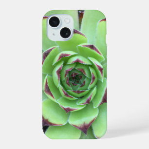 Grün mit Lila Tipps Sukkulentes Nah-Up-Foto iPhone 15 Hülle