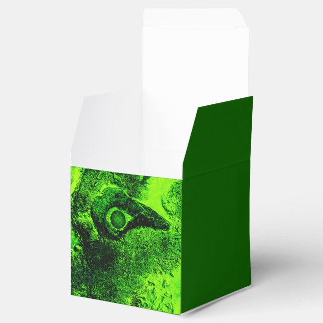 Grün suchen geschenkschachtel (Geöffnet)