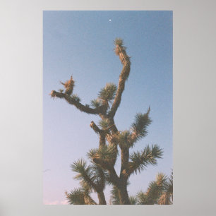 GRÜN UND BROWN BAUM UNTER BLAUEM HIMMEL POSTER