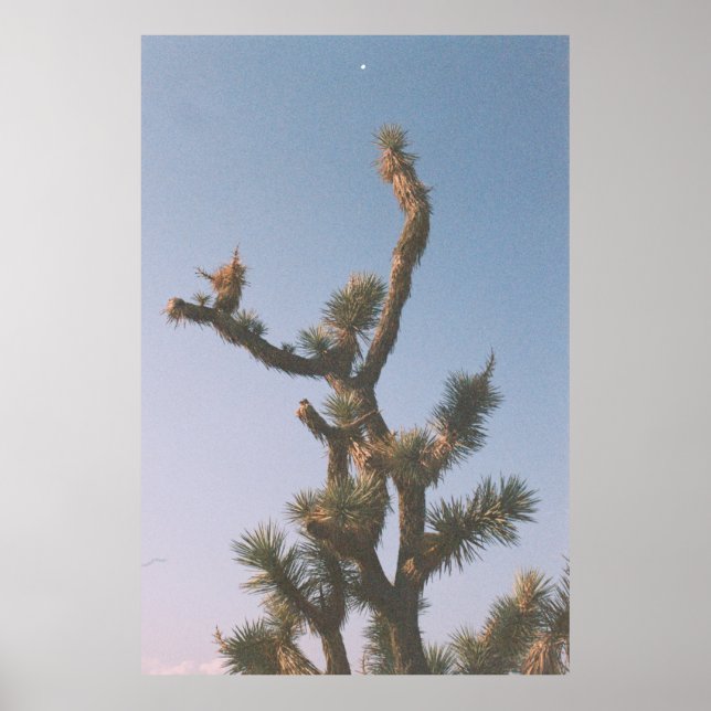 GRÜN UND BROWN BAUM UNTER BLAUEM HIMMEL POSTER (Vorne)