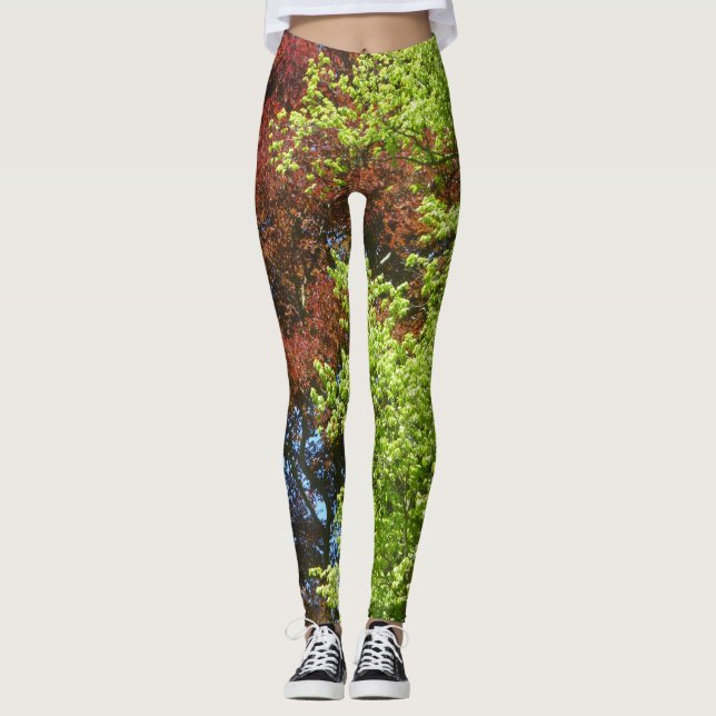 Grün- und Kupferbuche Leggings (Vorderseite)