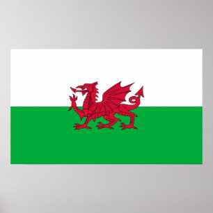 Grün und rote Fahne von Wales mit Drachen Poster