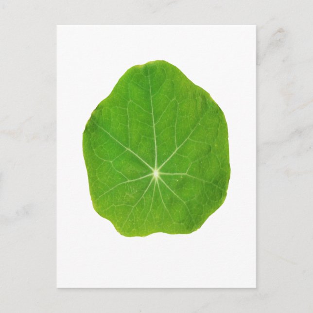 Grün unterstützen, Planet retten Postkarte (Vorderseite)