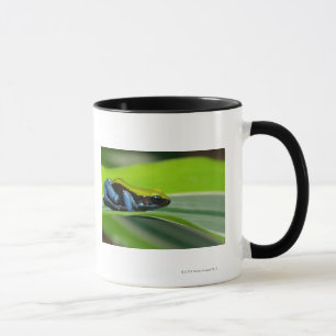Grün-unterstütztes mantella tasse