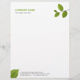 Grün verlässt Briefkopf