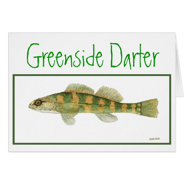 Grün versah Darterkarte mit Seiten (Vorderseite (Horizontal))
