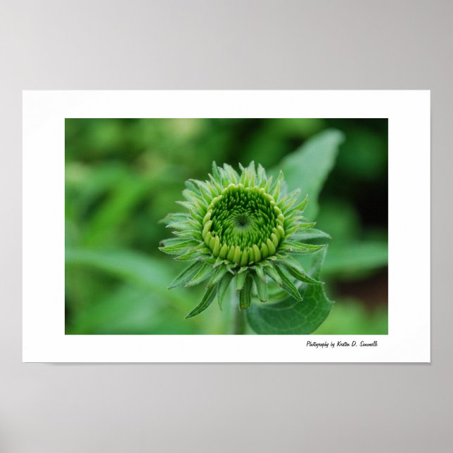 Grün werden poster (Vorne)