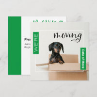 Grün Wir bewegen Dackel Hund in Box Card