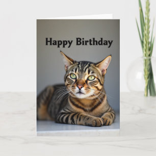 Grünaugige Katzen-Geburtstagskarte Karte