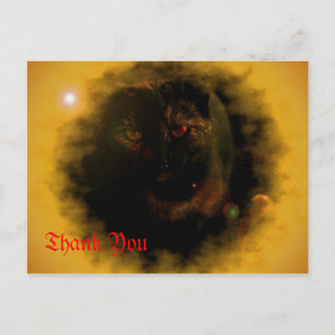 grünäugige schwarze Katze Sonnenstrahl Dankeschön  Postkarte