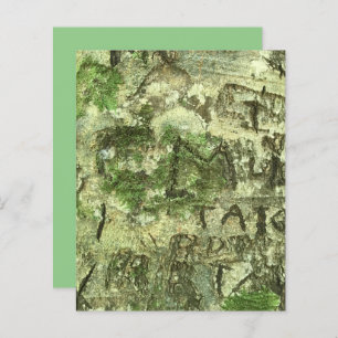 Grünbraun Carvingbuch "Barsche Textur"