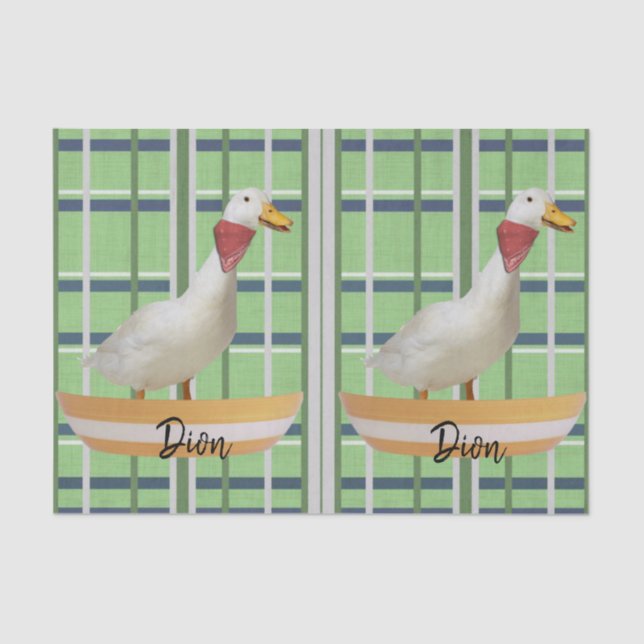 Grünbuch Karierte Ente Seidenpapier (Vorderseite)