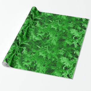 Grünbuch zum Umpacken von Zedern Geschenkpapier