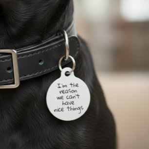 Grund, warum wir keine schönen Dinge haben Hund Ca Haustiermarke