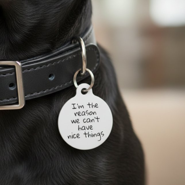 Grund, warum wir keine schönen Dinge haben Hund Ca Haustiermarke (Von Creator hochgeladen)