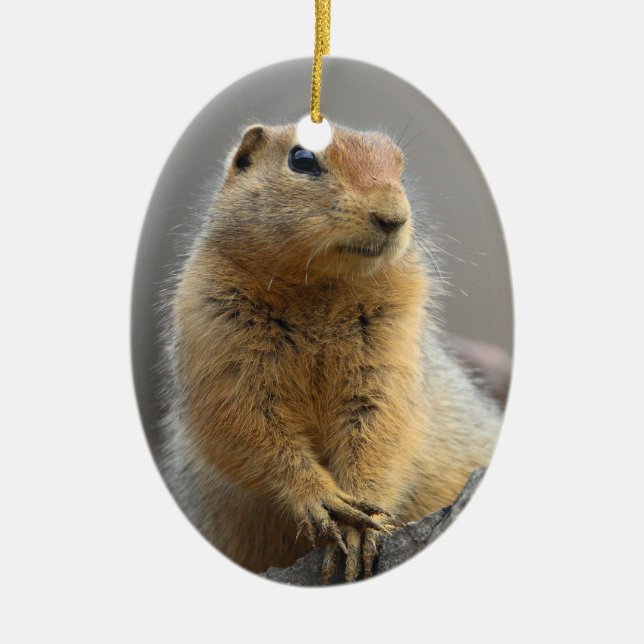 Grundeichhörnchen Keramikornament (Vorne)