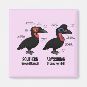 GrundHornbil Statistiken Magnet